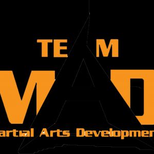 Martial Arts Development
