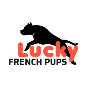 Lucky French Pups